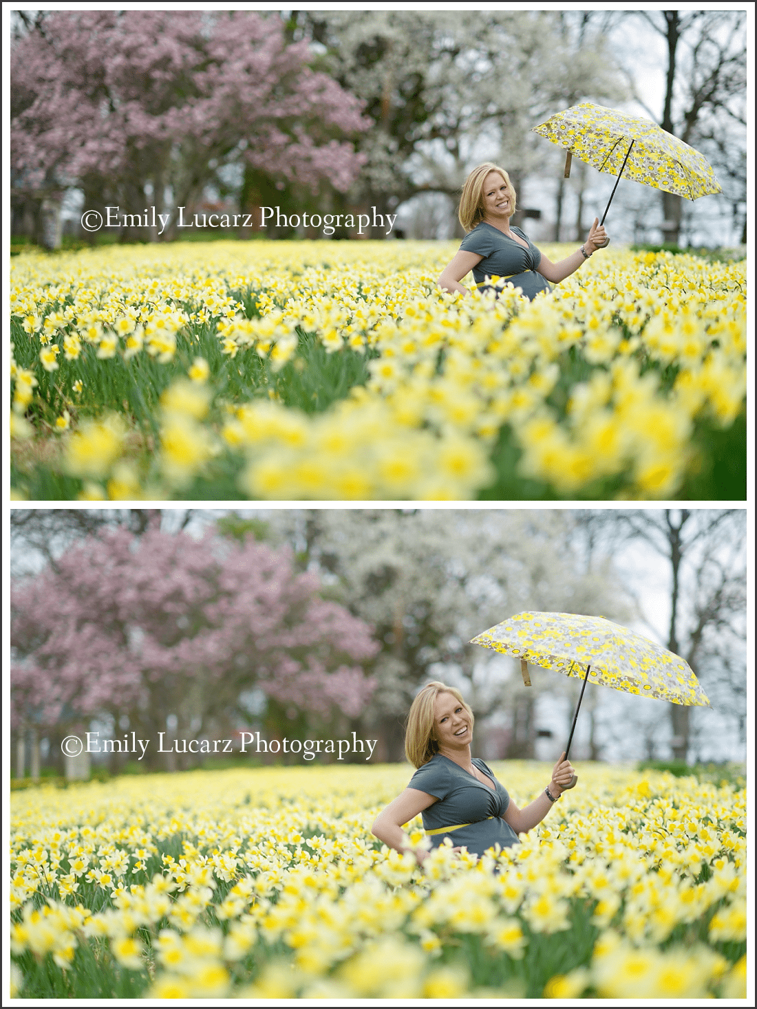 maternity photography flowers wildwood MO