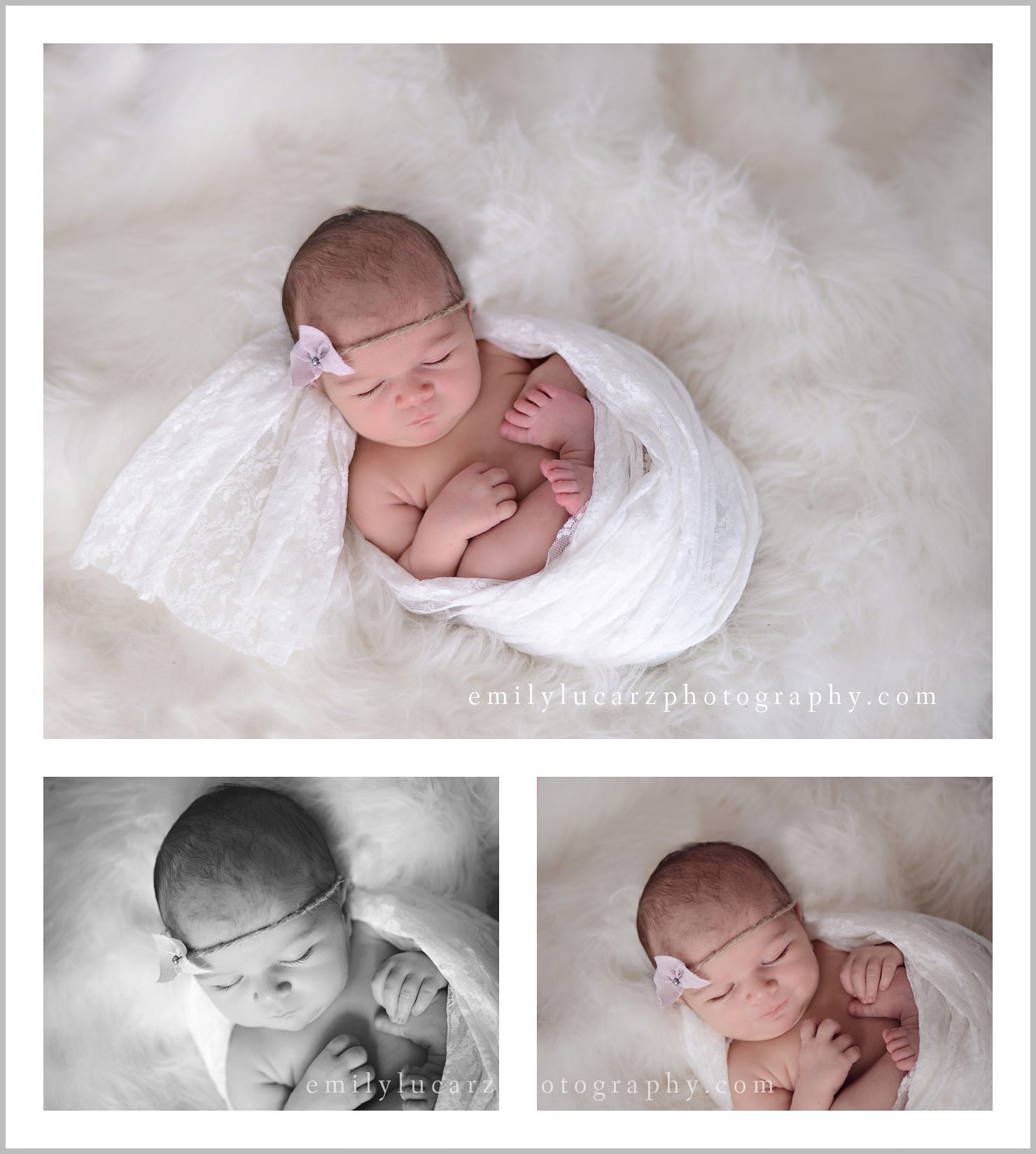 St. Louis newborn photographer