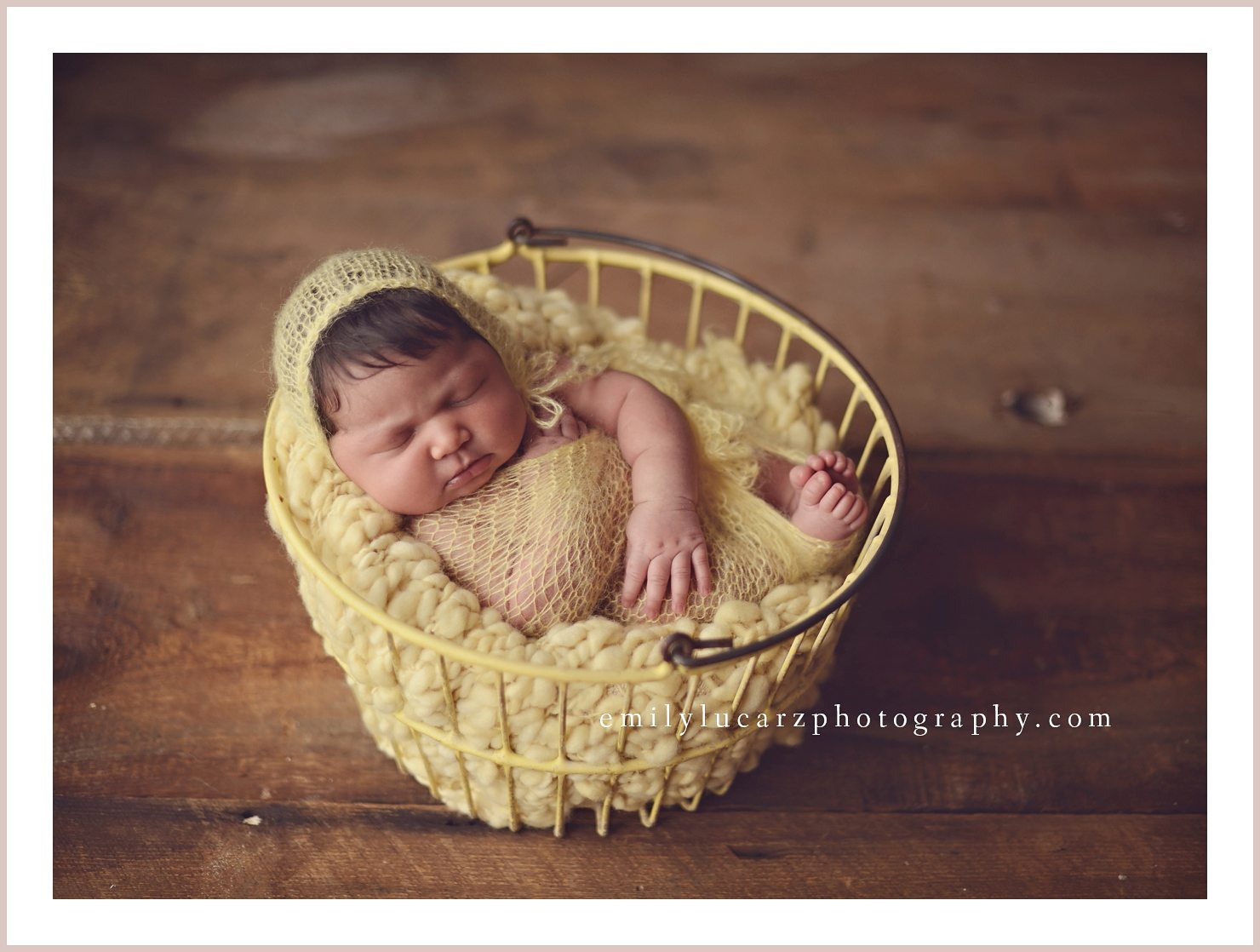 St. Louis newborn photographer