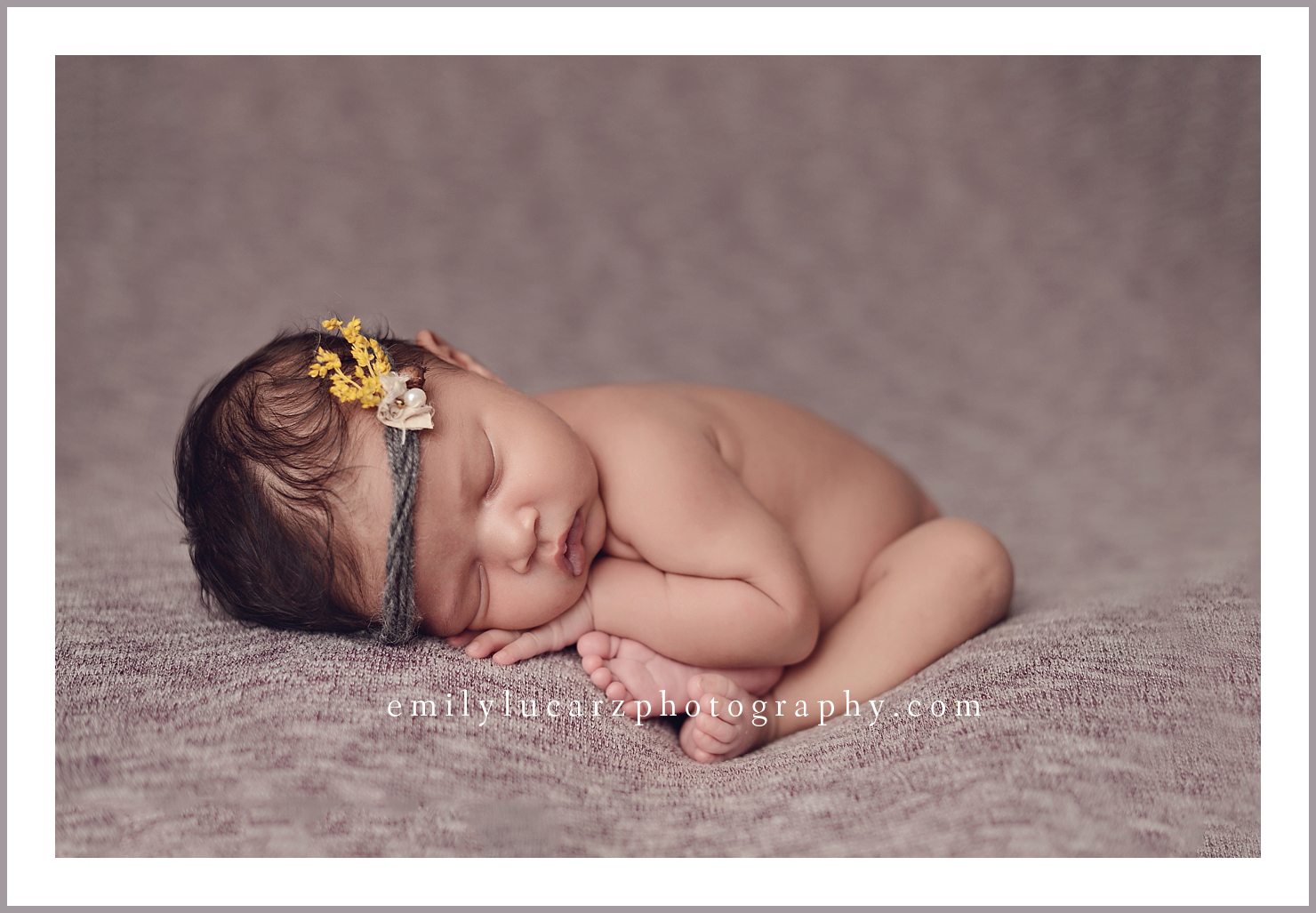 St. Louis newborn photographer