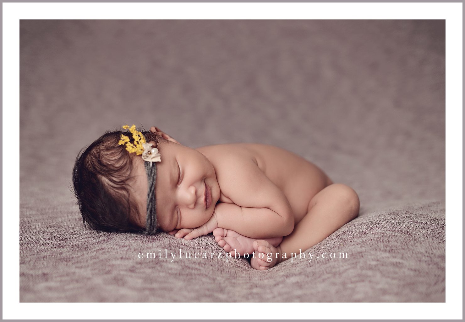 St. Louis newborn photographer