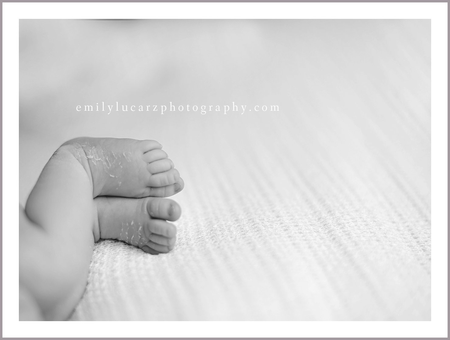 St. Louis newborn photography