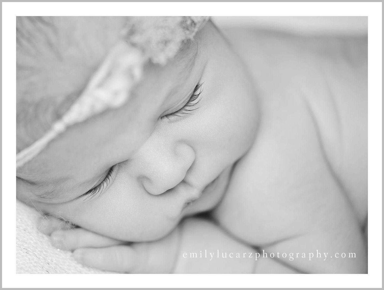 St. Louis newborn photographer