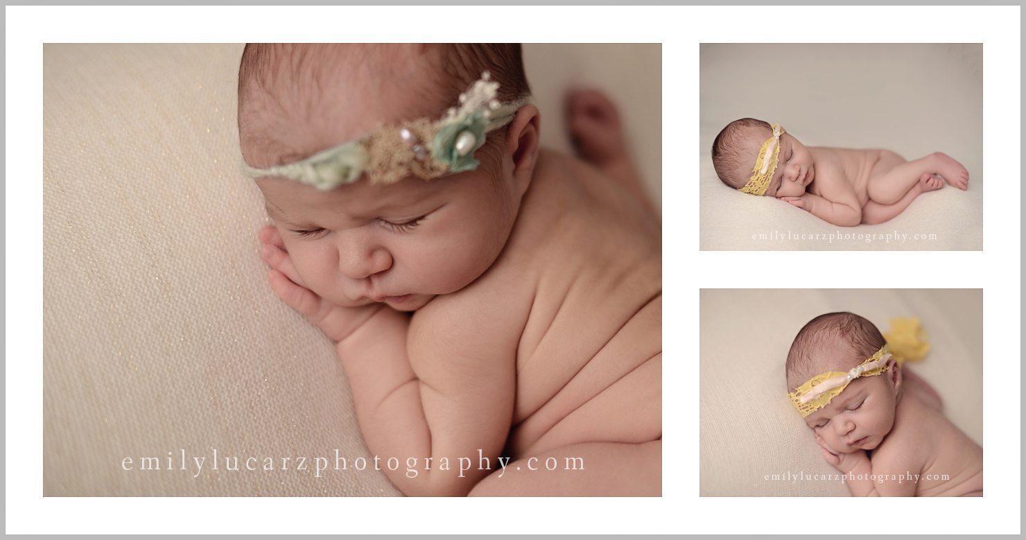 St. Louis newborn photographer