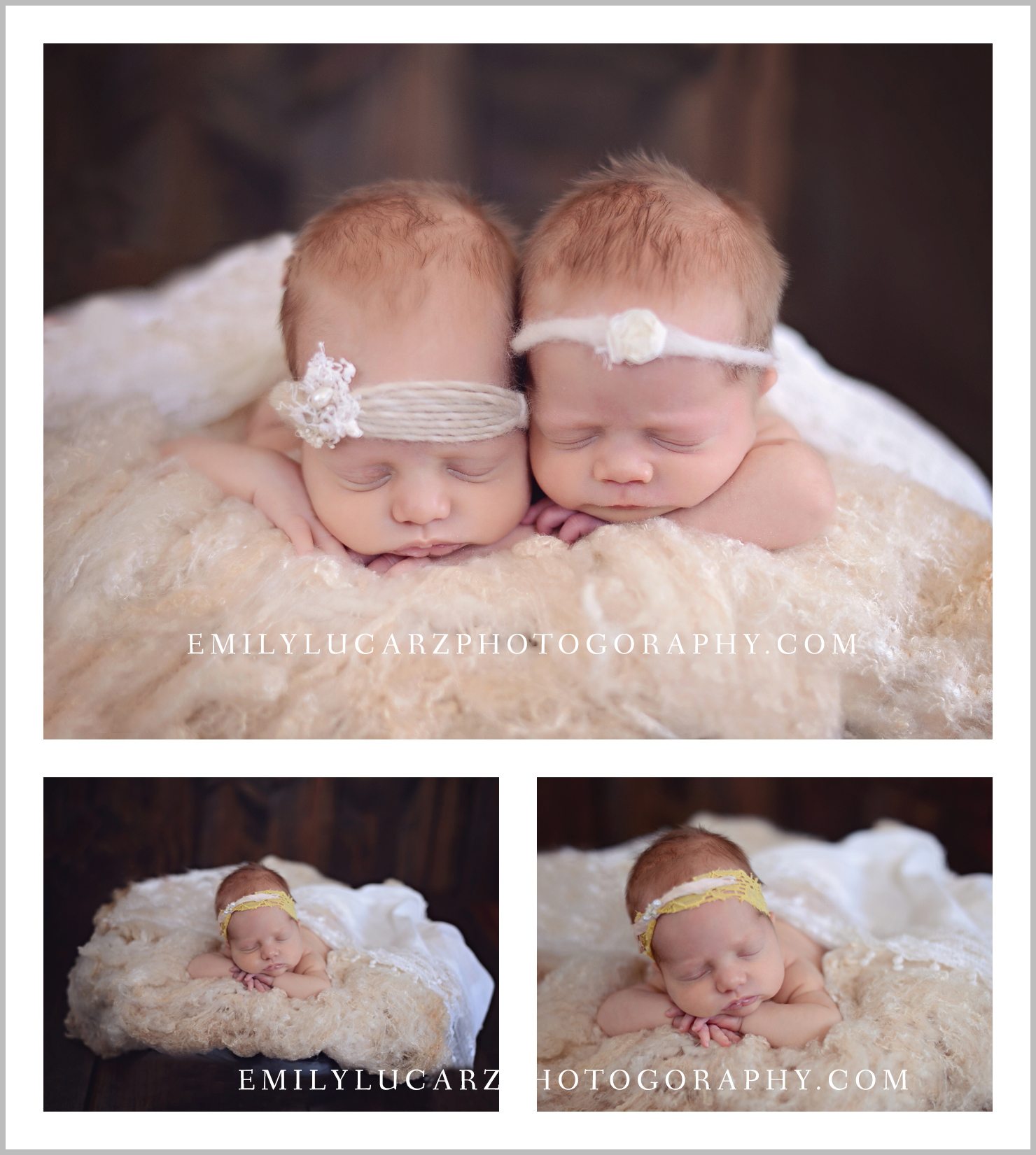 St. Louis newborn twin photography