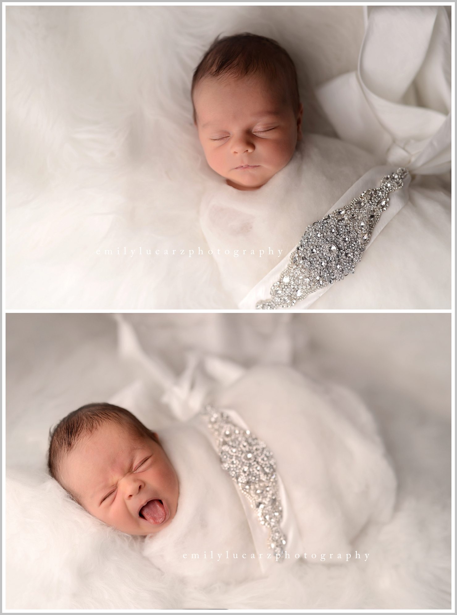 St. Louis newborn photography