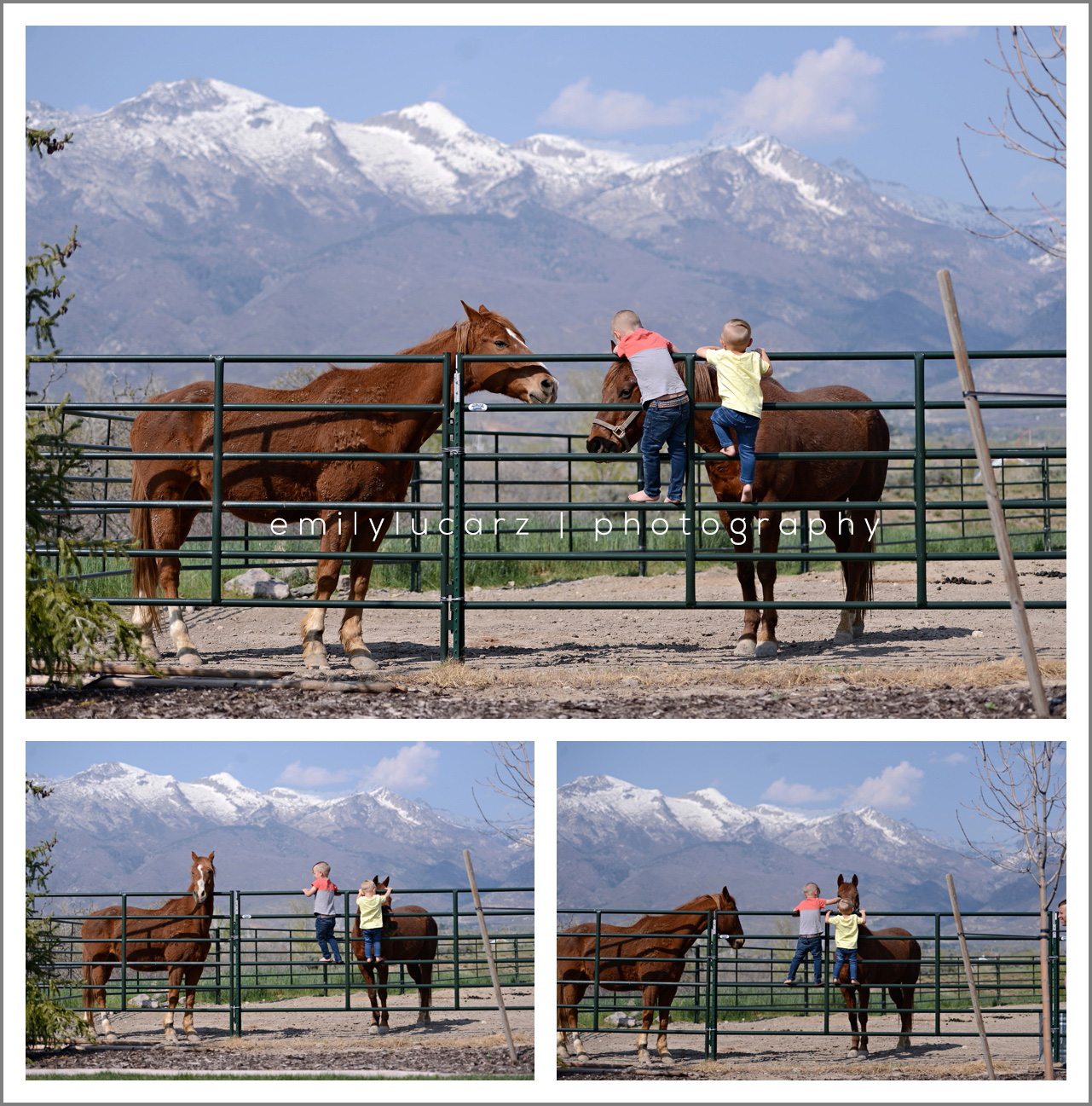 horse and children photo