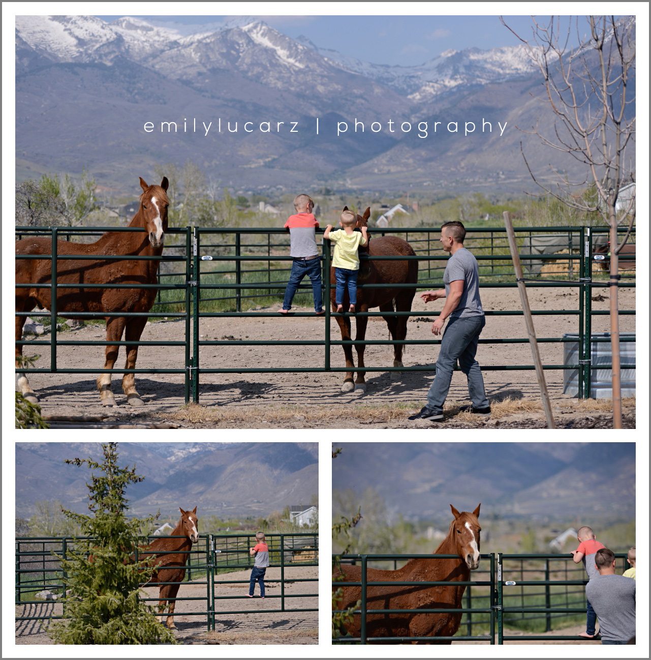 children and horse photo