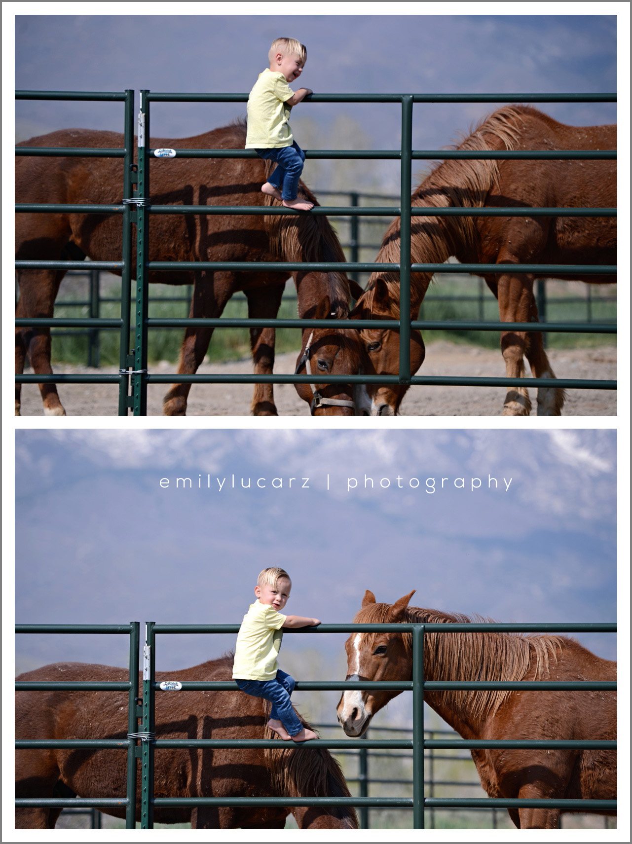 Child and horse