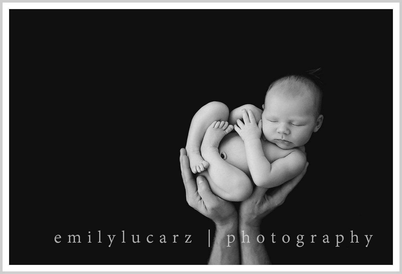 black and white newborn in hands photo St. Louis