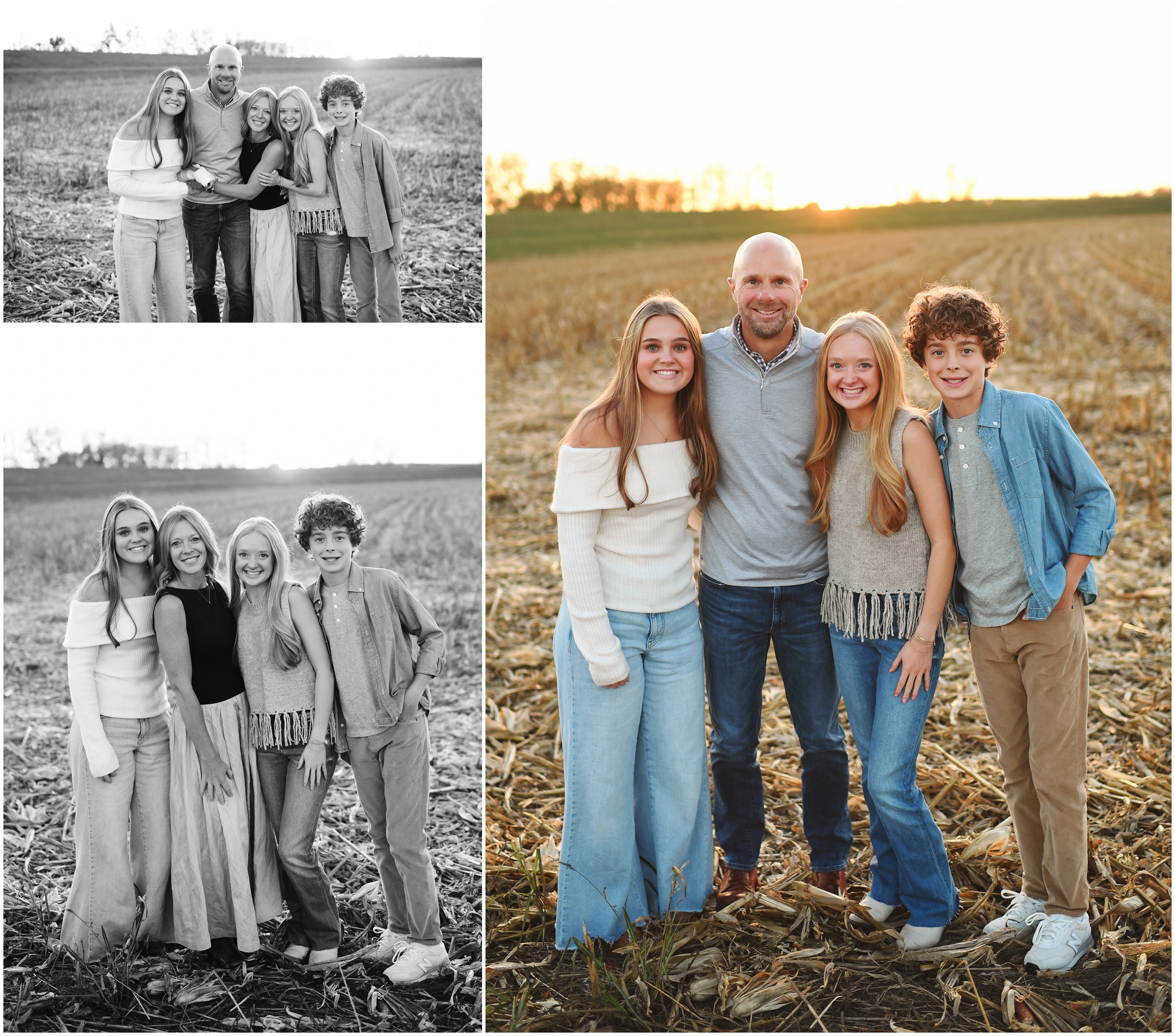 sunet in a corn field
